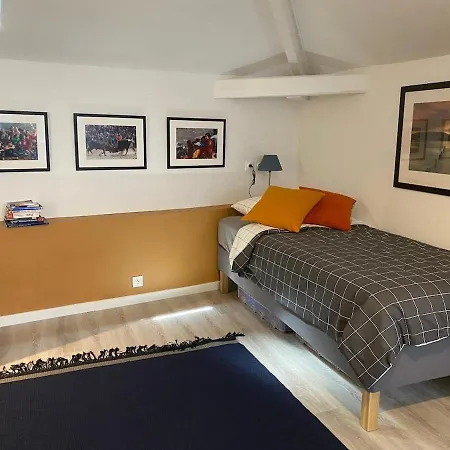Artist's Studio In An Atypical Loft Joinville-le-Pont